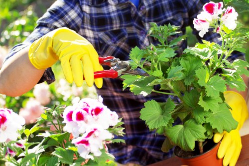 Gardening gloves and tools on a lawn representing maintenance services