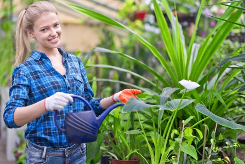 Lush garden in Chigwell demonstrating comprehensive garden maintenance