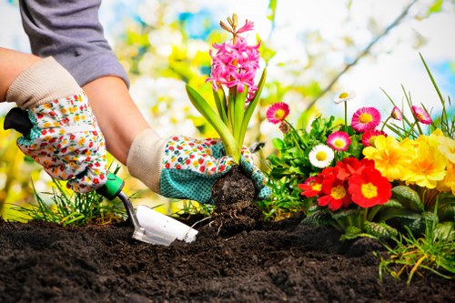 Seasonal garden tasks in Chigwell for optimal plant health